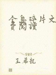 全息碎片文轩免费阅读