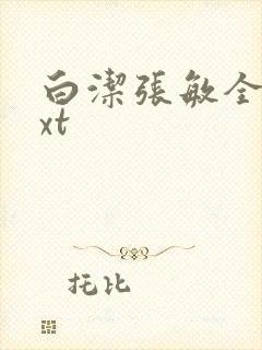 白洁张敏全集txt