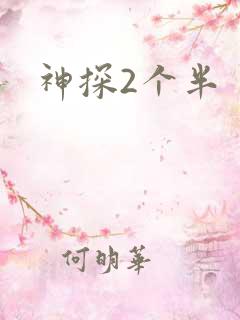 神探2个半