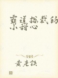 霸道总裁的宠爱小甜心