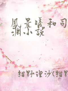 凤晨曦和司鸿颜渊小说