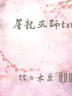 屠龙巫师txt