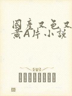 国产又色又爽又黄A片小说