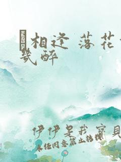 囍相逢 落花能几醉