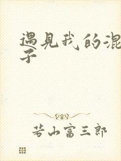 遇见我的混血王子