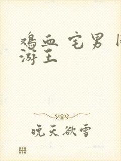 鸡血 宅男 网游王