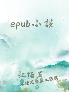 epub小说