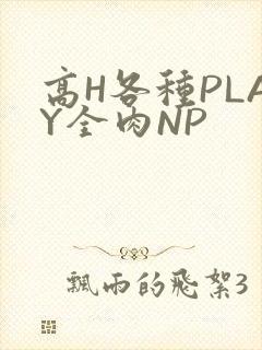高H各种PLAY全肉NP