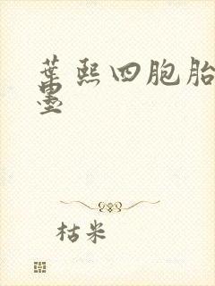 叶熙四胞胎厉子墨