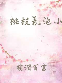 桃枝气泡小说