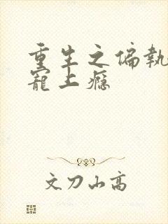 重生之偏执老公宠上瘾