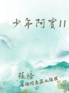 少年阿宾11