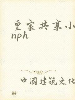 皇家共享小公主nph