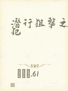 潜行狙击之潜罪犯