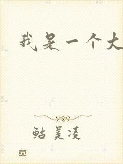 我是一个大盗贼