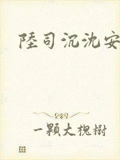 陆司沉沈安