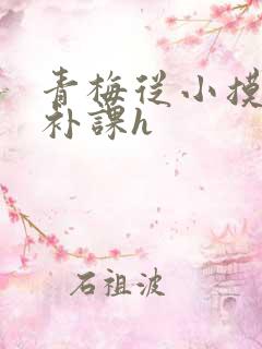 青梅从小摸到大补课h