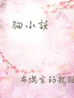 胸小说