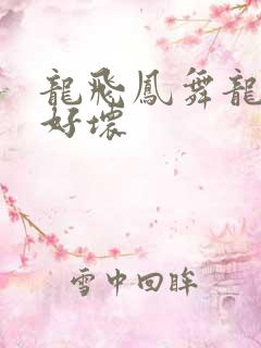 龙飞凤舞龙王你好坏
