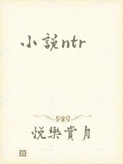 小说ntr