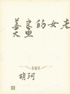 善良的女老师木天鱼