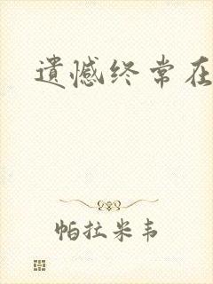 遗憾终常在小说