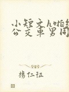 小短文h啪纯肉公交车男同