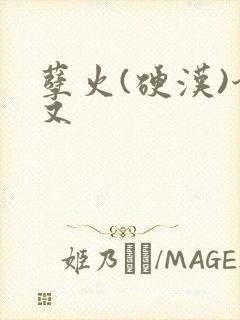 孽火(硬汉)今又