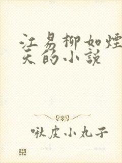 江易柳如烟秦少天的小说