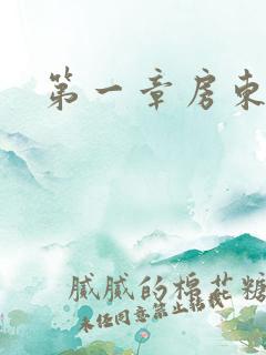 第一章房东太太