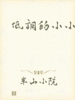 低调的小小宫女