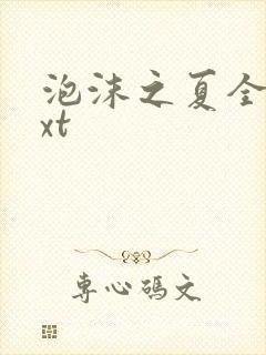 泡沫之夏全集txt