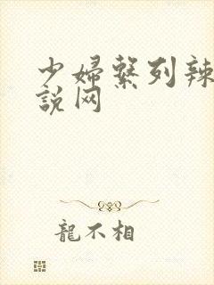 少妇系列辣文小说网