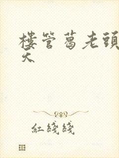 楼管葛老头的春天