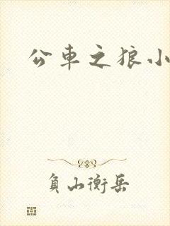 公车之狼小说
