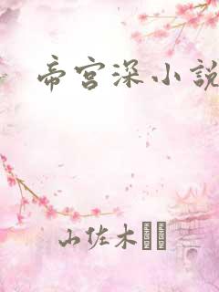 帝宫深小说