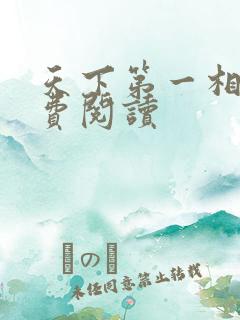 天下第一相书免费阅读
