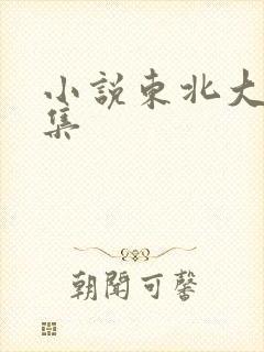 小说东北大炕全集