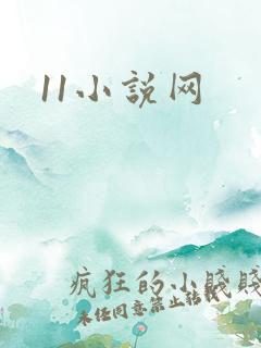 11小说网