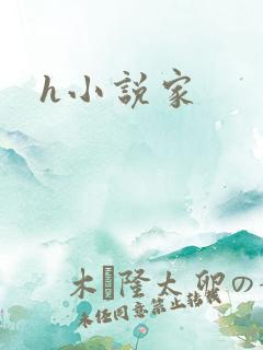 h小说家