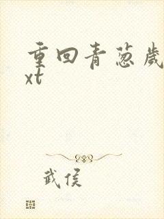 重回青葱岁月txt