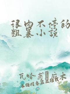 很肉不停的做很粗暴小说