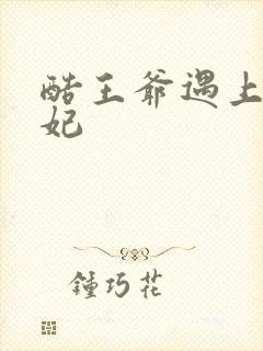 酷王爷遇上穿越妃