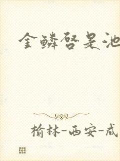 金鳞启是池中物