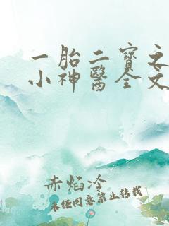 一胎二宝之弃妃小神医全文免费阅读