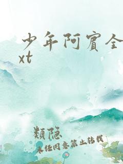 少年阿宾全集txt