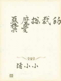 恶魔总裁的一夜禁爱