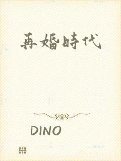 再婚时代