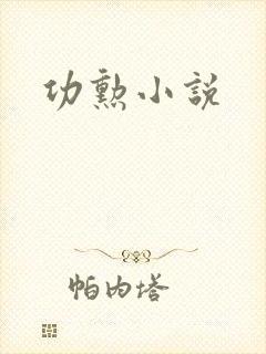 功勋小说