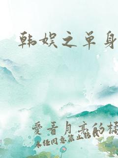 韩娱之单身爸爸